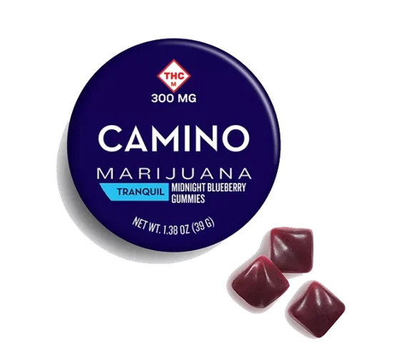 Camino Midnight Blueberry High Dose Gummies
