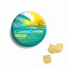 Camino Sours Tropical Burst THCV Gummies